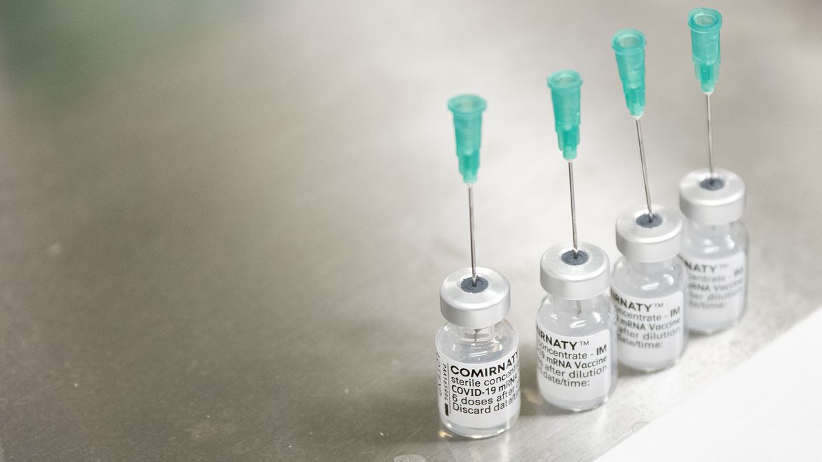 Začala registrace na vakcíny proti omikronu: pro koho jsou a co o nich víme?